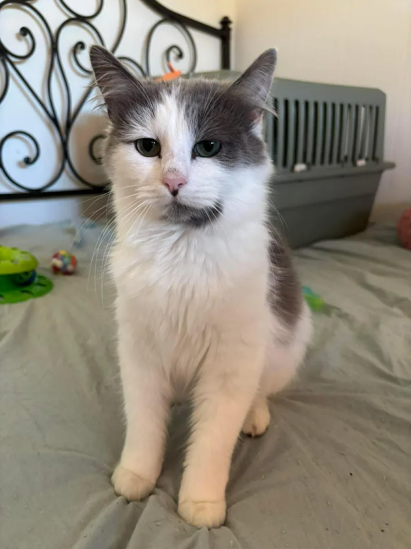 Eyre And Bronte thumbnail 5