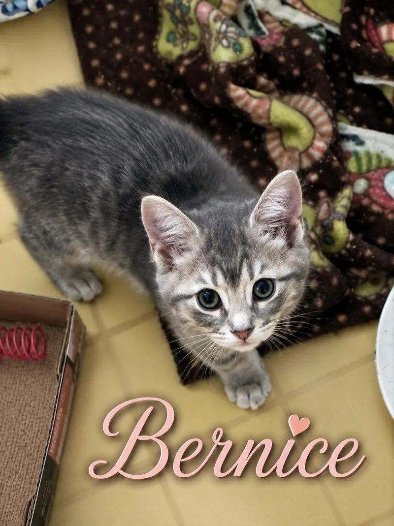 BerniceC thumbnail 2