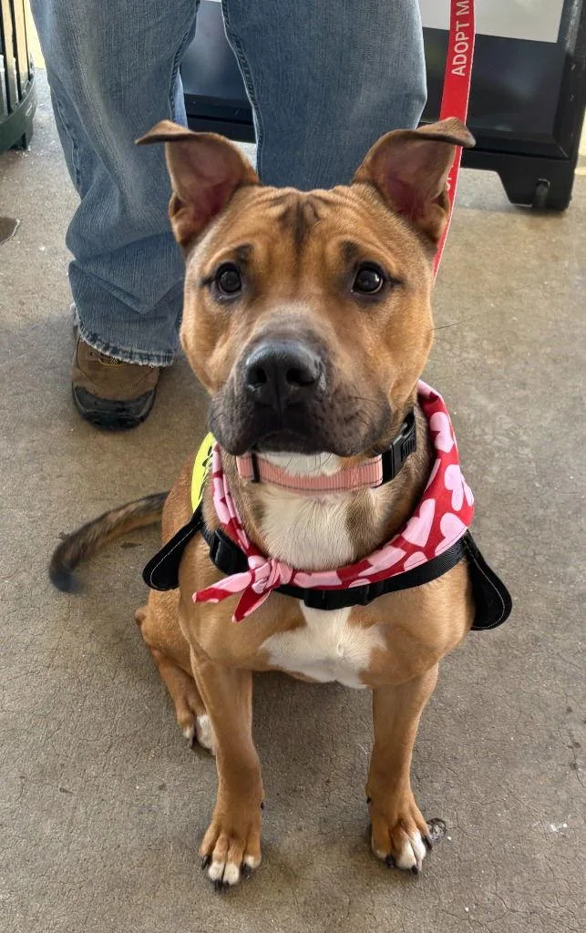 Da  Keylo thumbnail 3