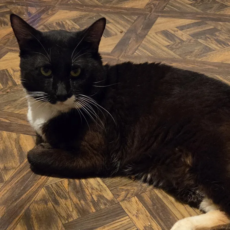 Tom