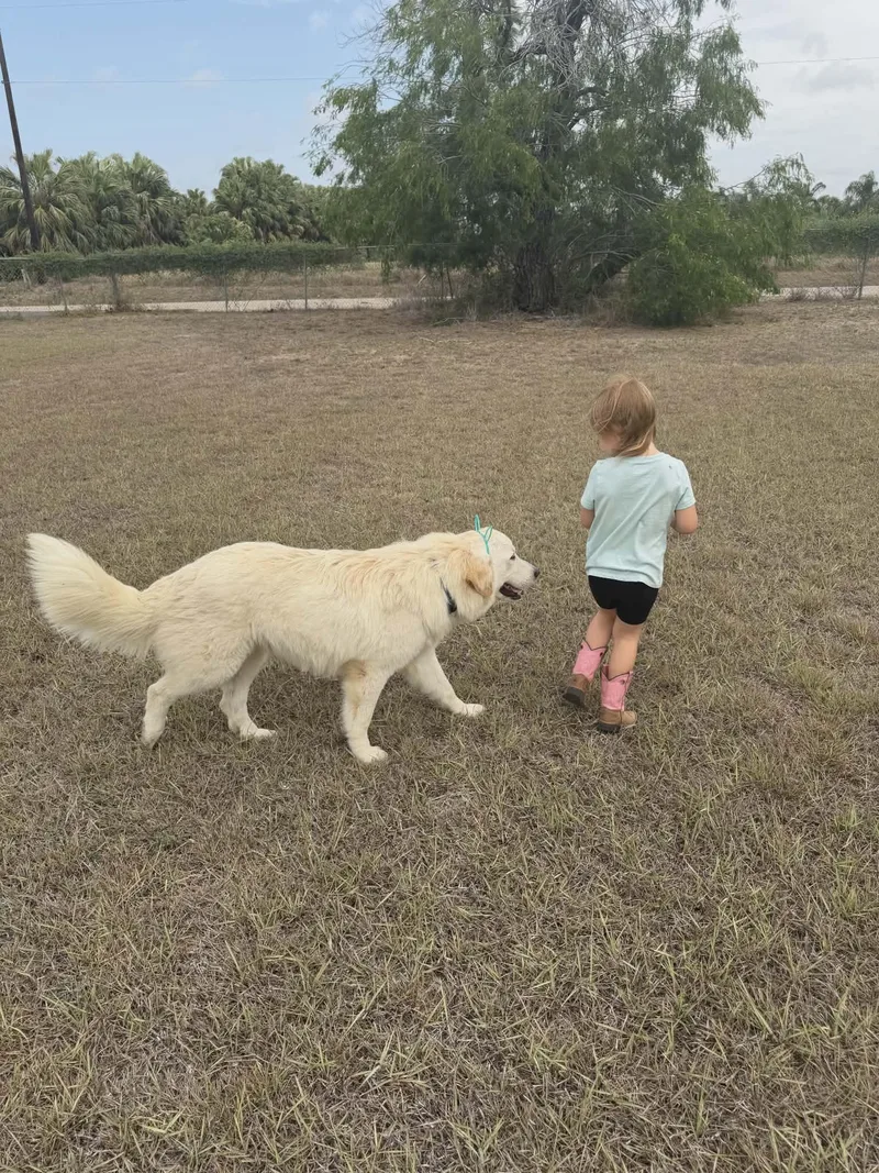 Wesley Smooch Sat thumbnail 4