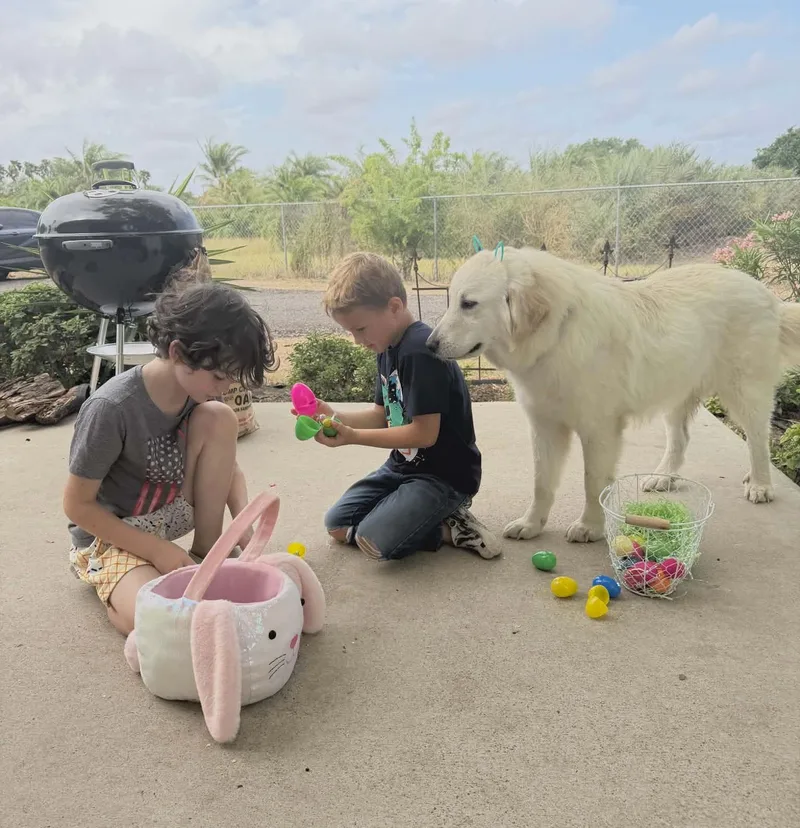 Wesley Smooch Sat thumbnail 6