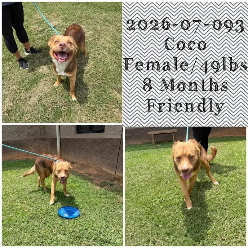 Coco