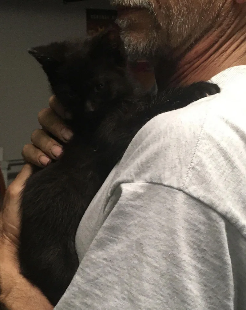 Bonnie Bonded Julio thumbnail 3