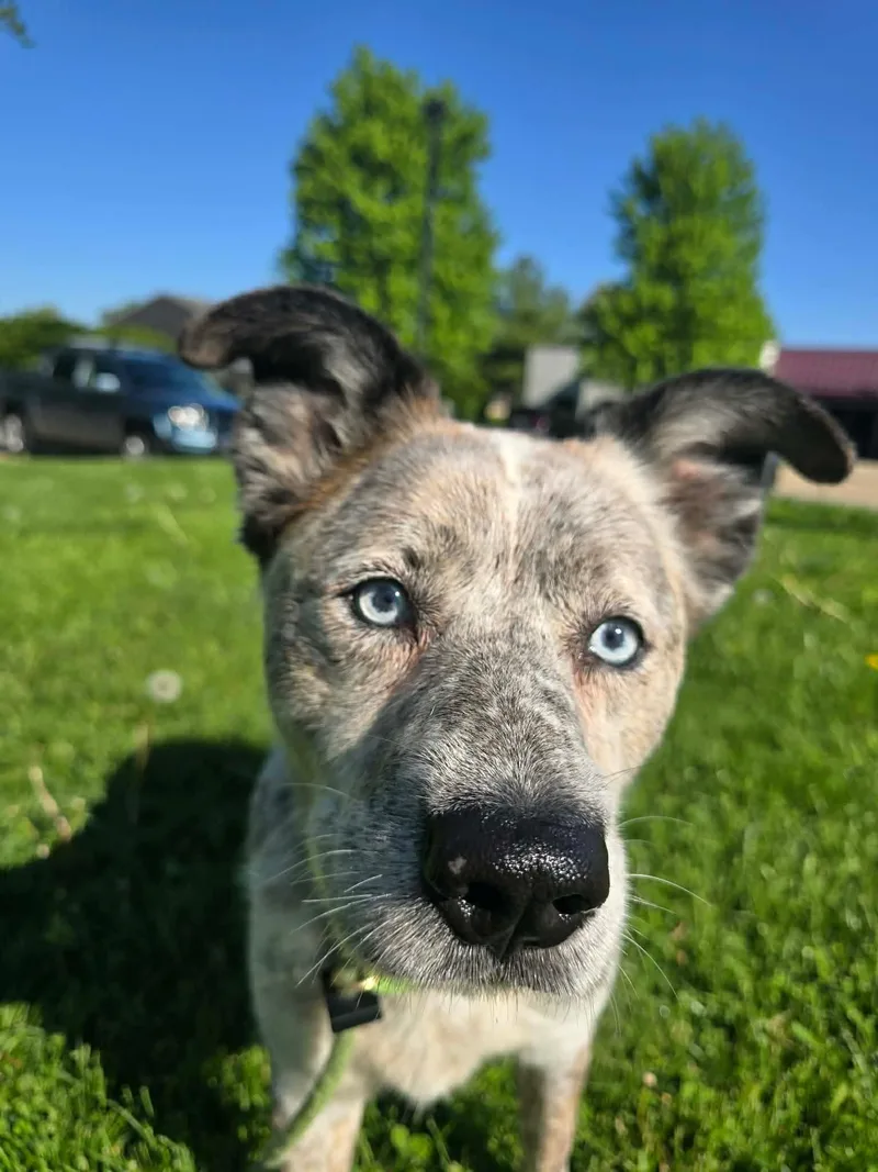 Luna