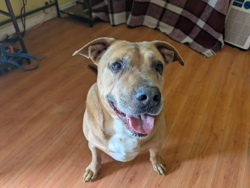 Leo Sebastian thumbnail 3