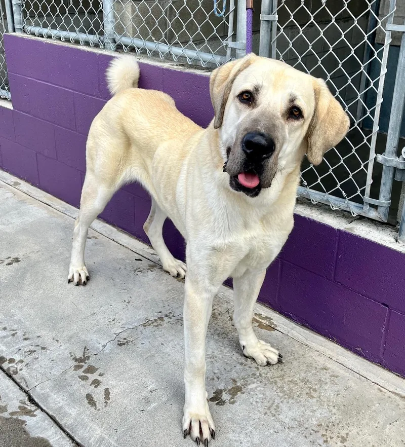 Valentina thumbnail 2