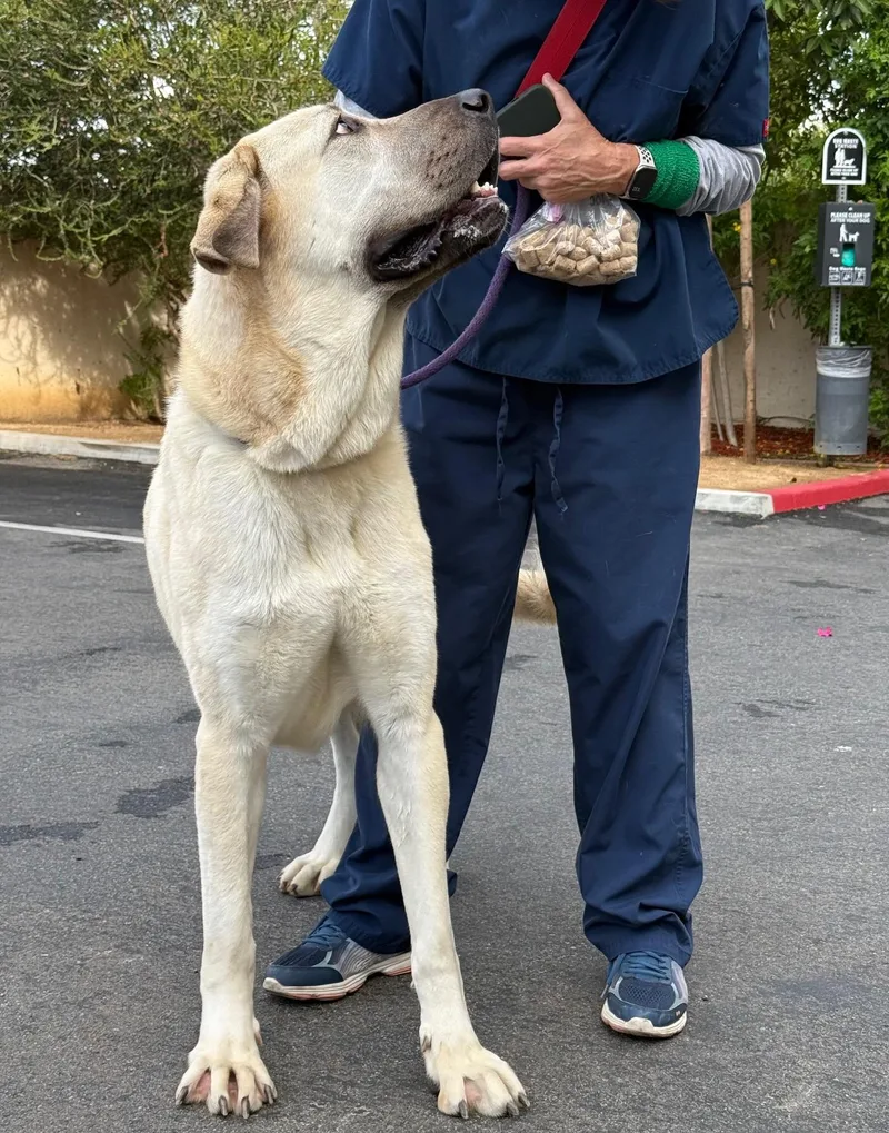 Valentina thumbnail 3