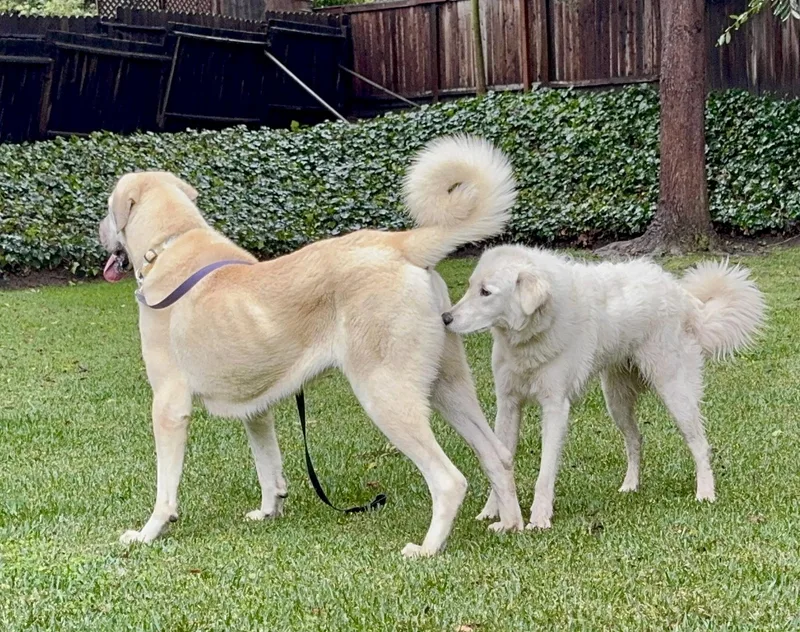 Valentina thumbnail 4