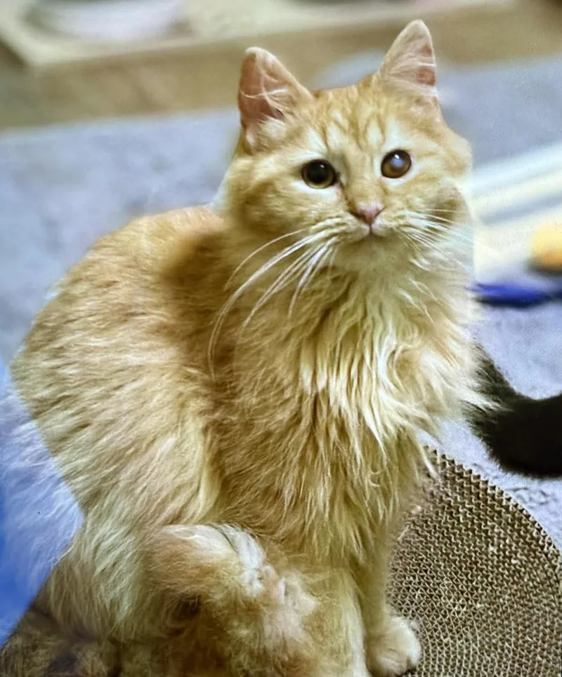 Bailey Is Omg Smooshy