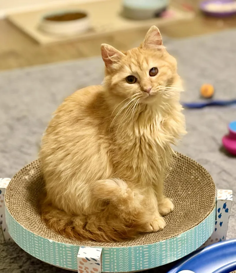 Bailey Is Omg Smooshy thumbnail 2