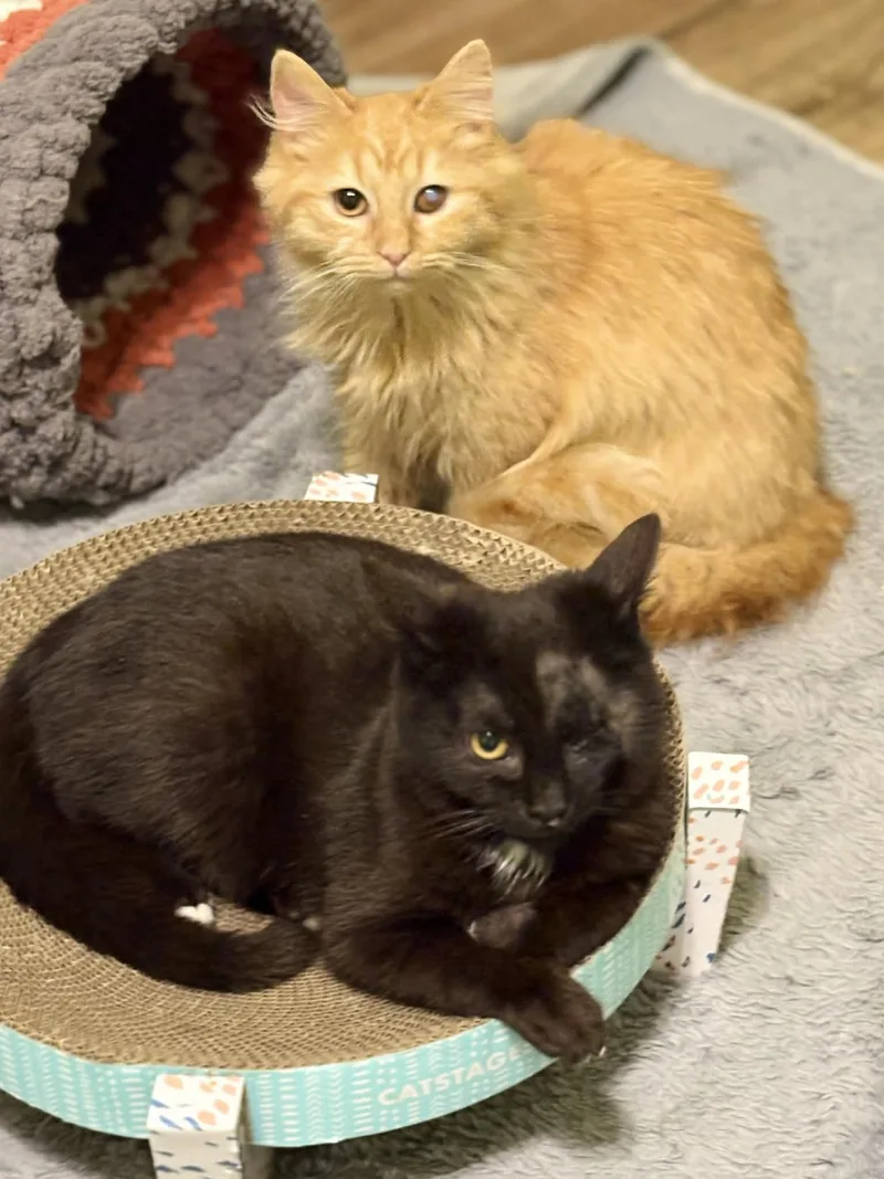 Bailey Is Omg Smooshy thumbnail 3