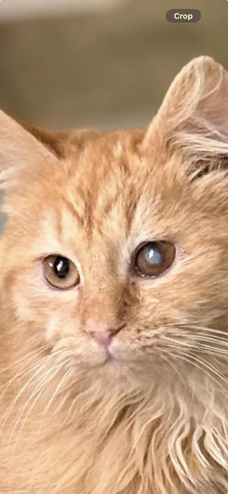 Bailey Is Omg Smooshy thumbnail 4