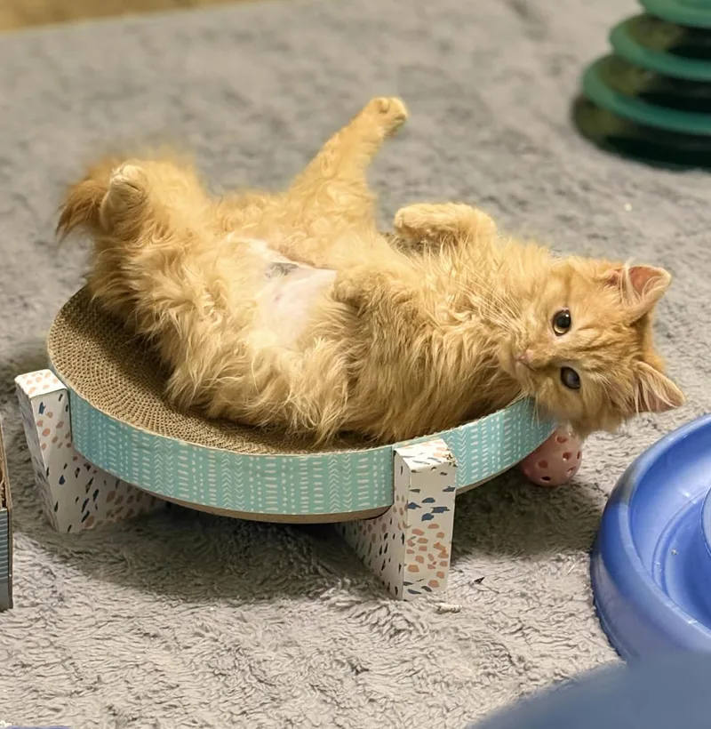 Bailey Is Omg Smooshy thumbnail 5