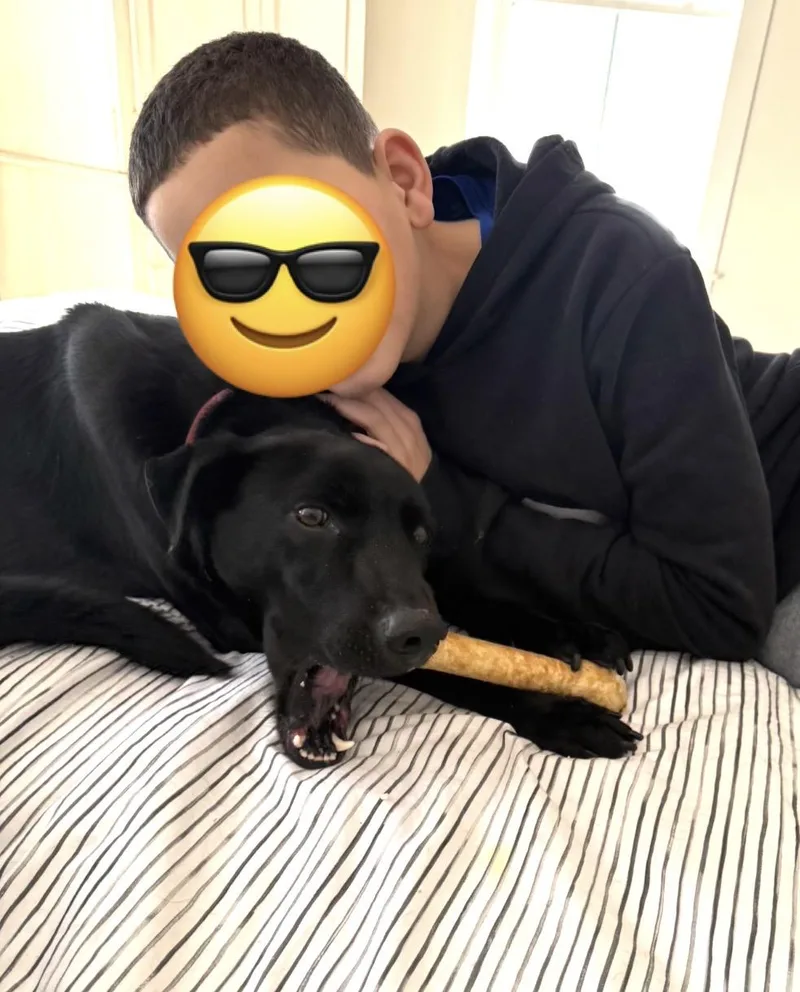 Ella And Bear thumbnail 2