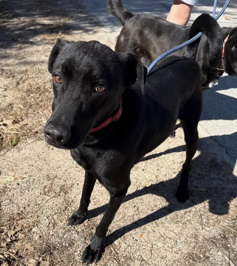 Ella And Bear thumbnail 3