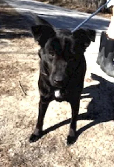 Ella And Bear thumbnail 4