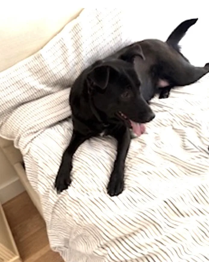 Ella And Bear thumbnail 6