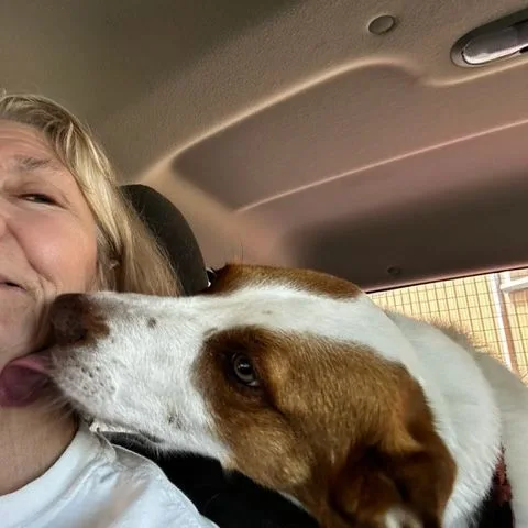 Patches  The Shepherd thumbnail 4