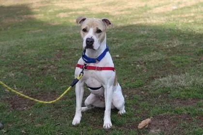 Leiliana thumbnail 2