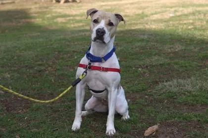 Leiliana thumbnail 3