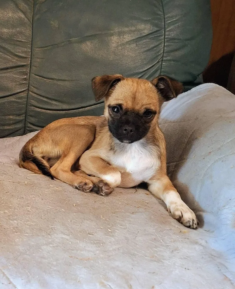Fiona