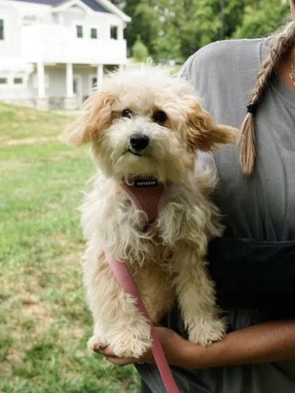 Chloe thumbnail 3