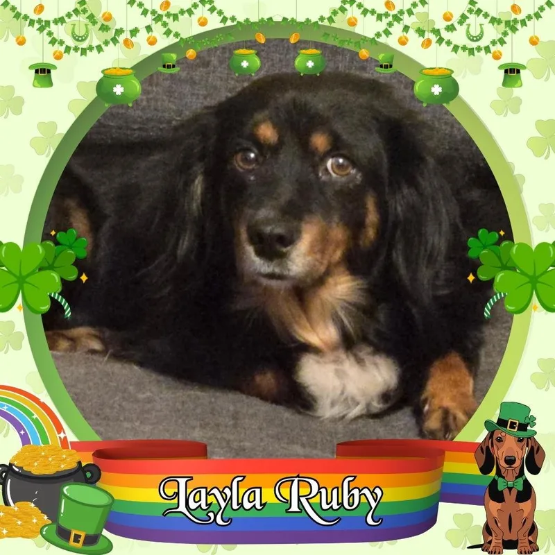 Layla Ruby thumbnail 3