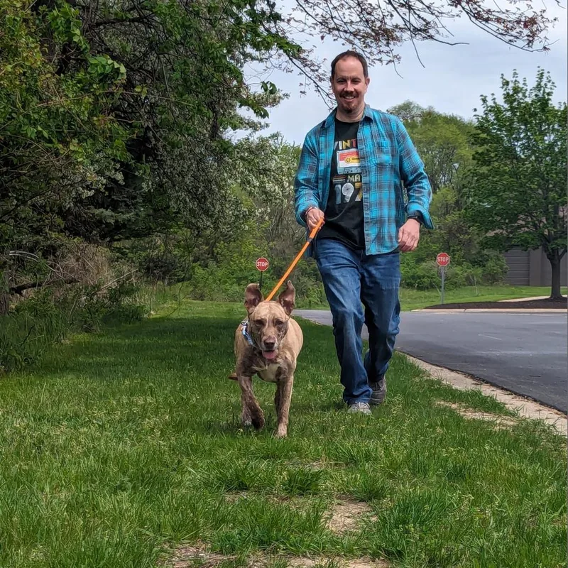 Dixie Loo thumbnail 3