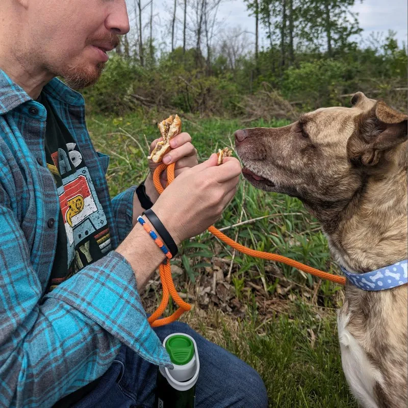 Dixie Loo thumbnail 4