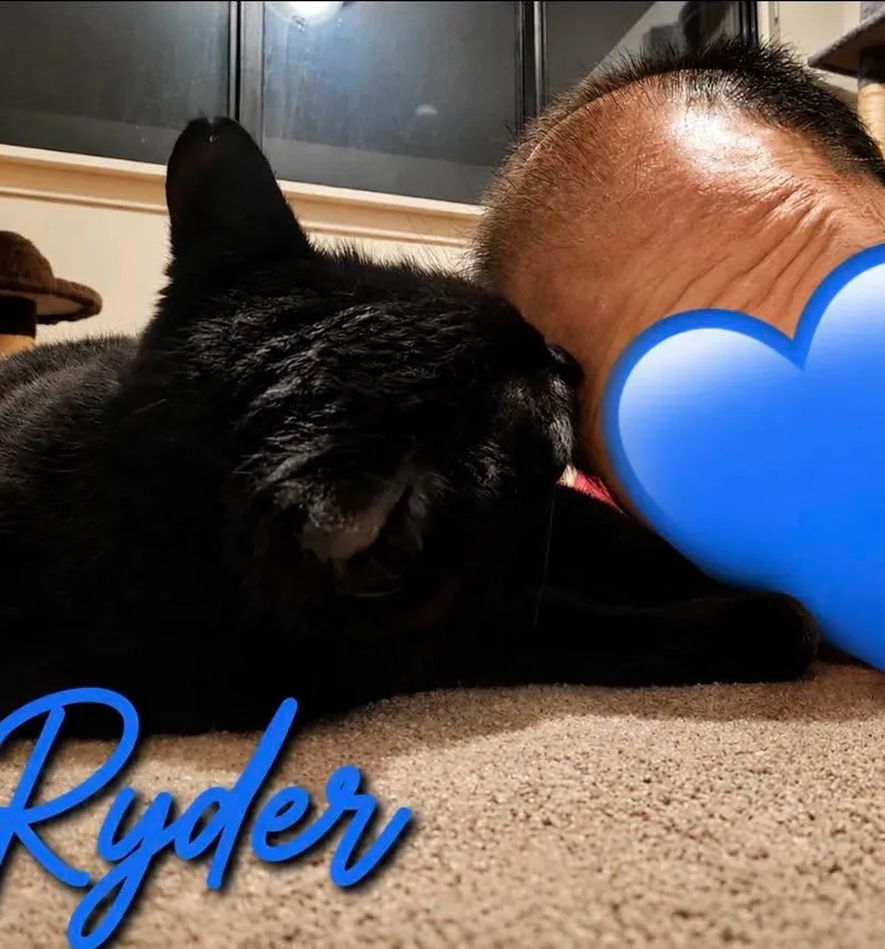 Ryder thumbnail 4