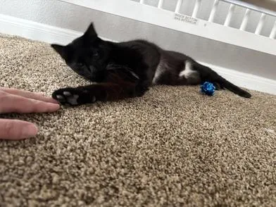 Lumi thumbnail 3