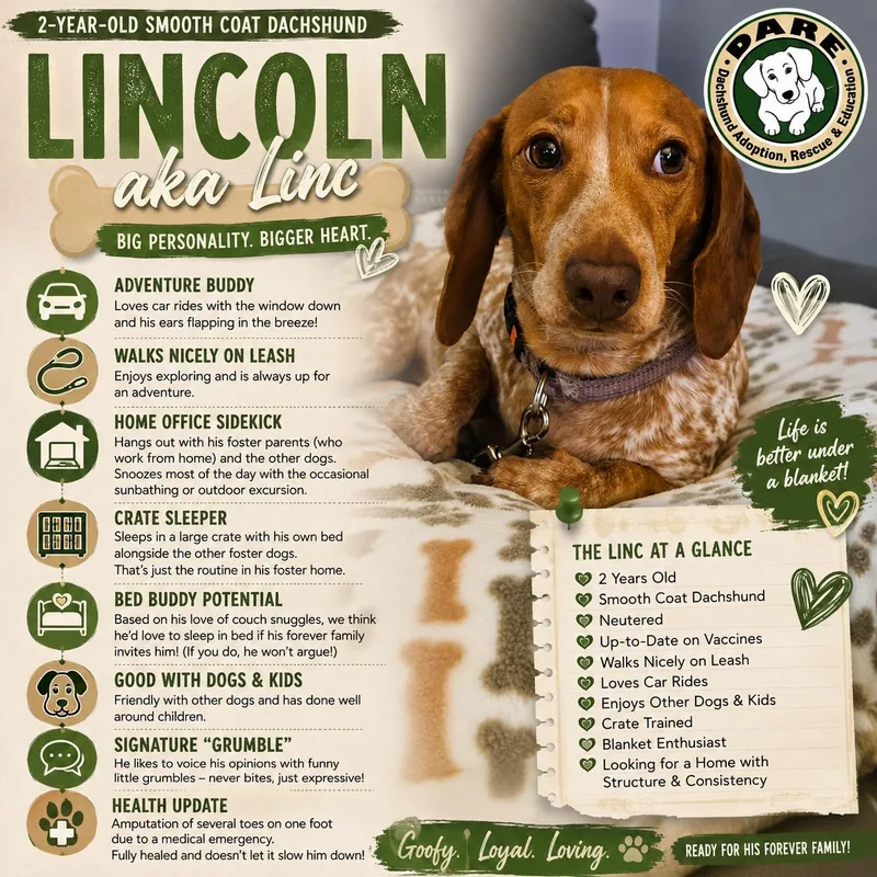 Lincoln thumbnail 2
