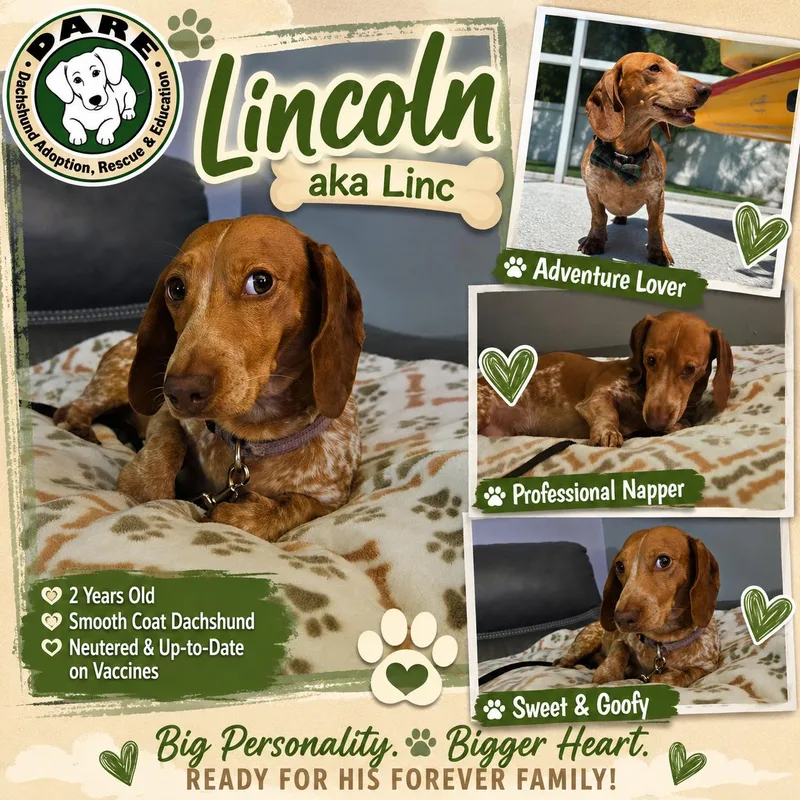 Lincoln thumbnail 3