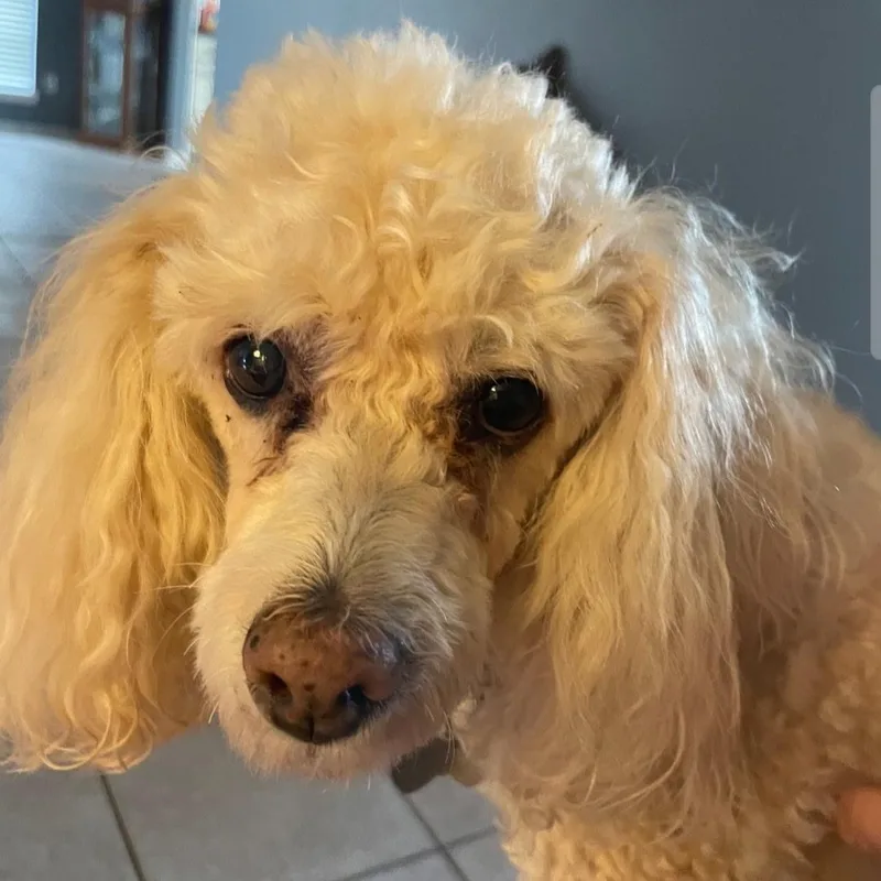 Bella thumbnail 2