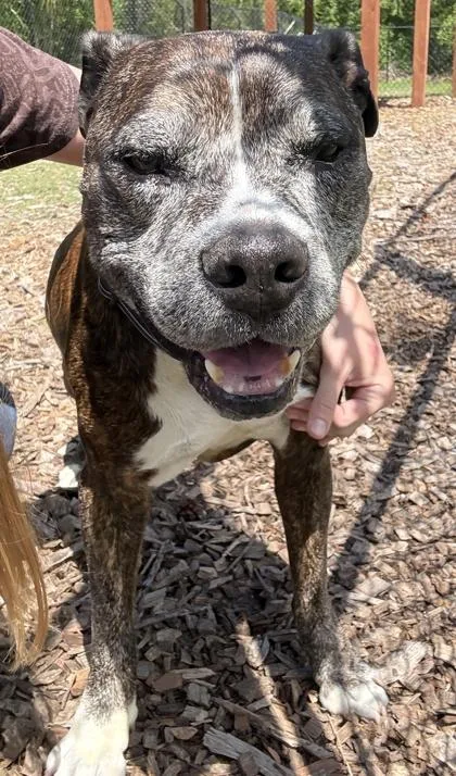 Seagrave thumbnail 2