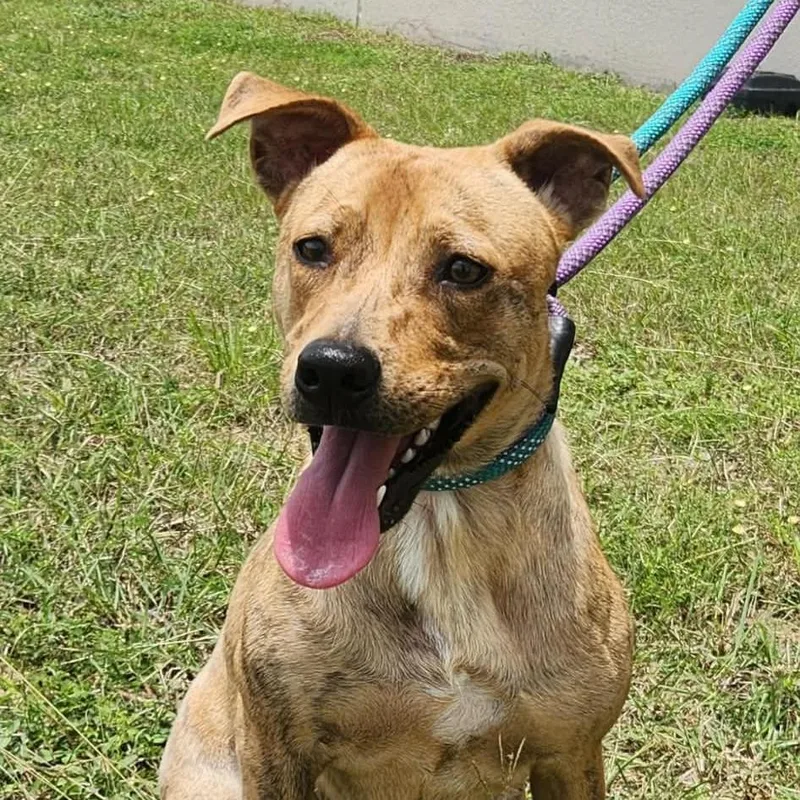 Coco WT thumbnail 4