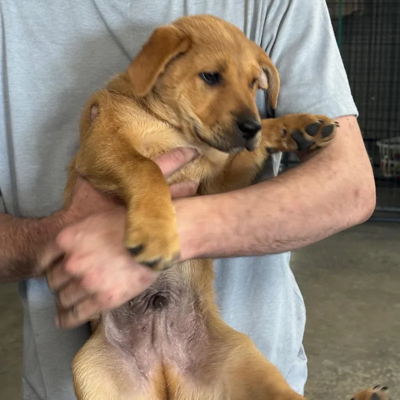 Walter