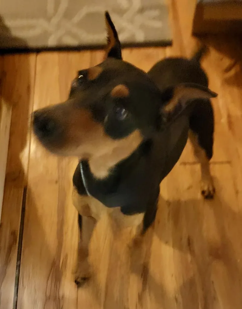 Tobias thumbnail 3