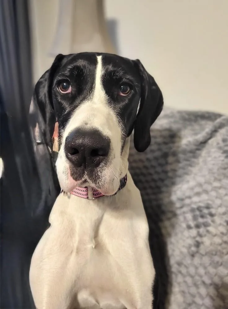 Fiona