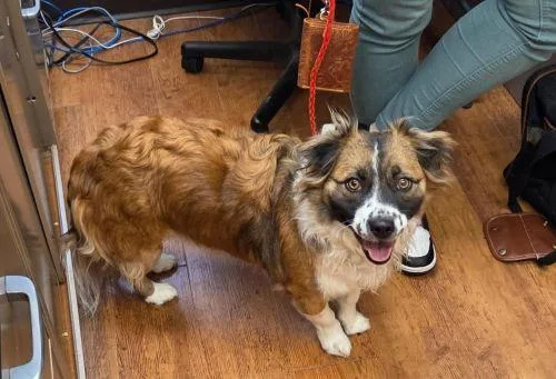 Savvy Aka Sassy thumbnail 2