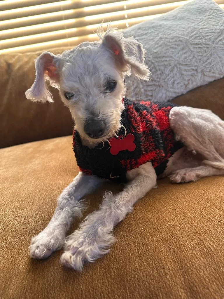 Kiko