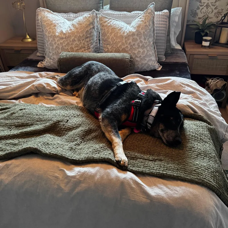 John Wayne thumbnail 3