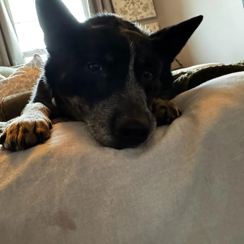 John Wayne thumbnail 4