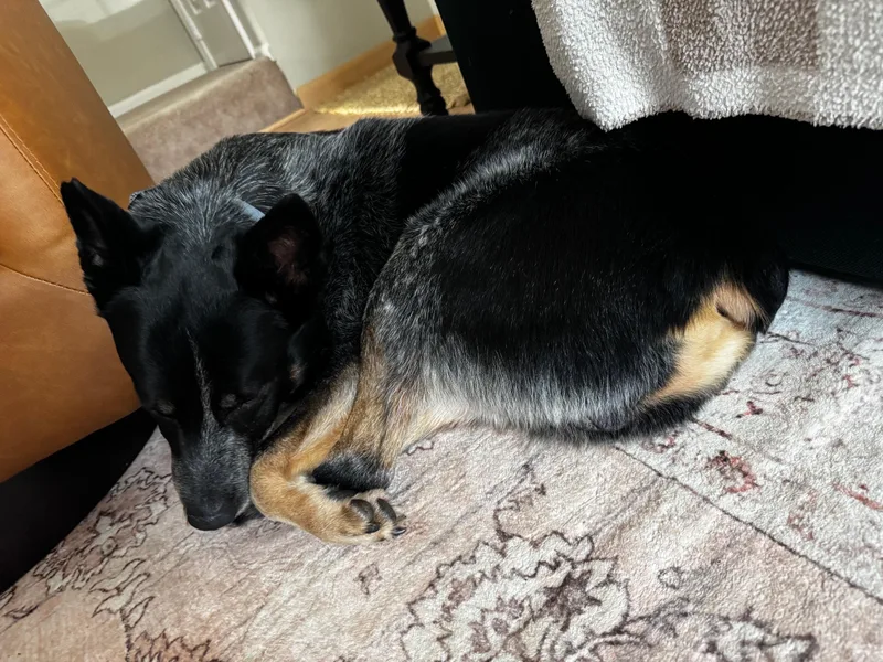 John Wayne thumbnail 5