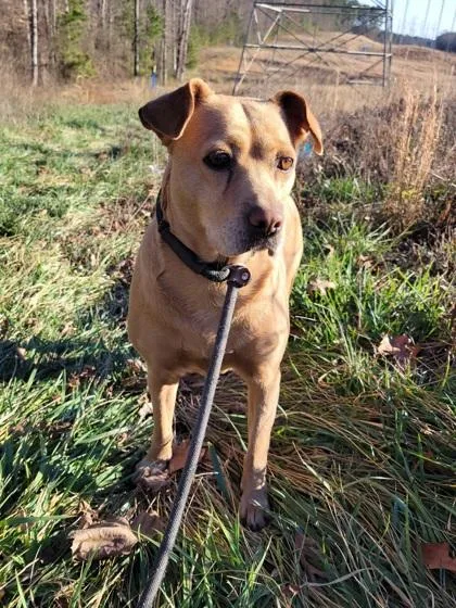 Mama Odie thumbnail 2