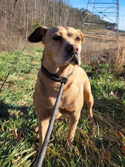 Mama Odie thumbnail 3