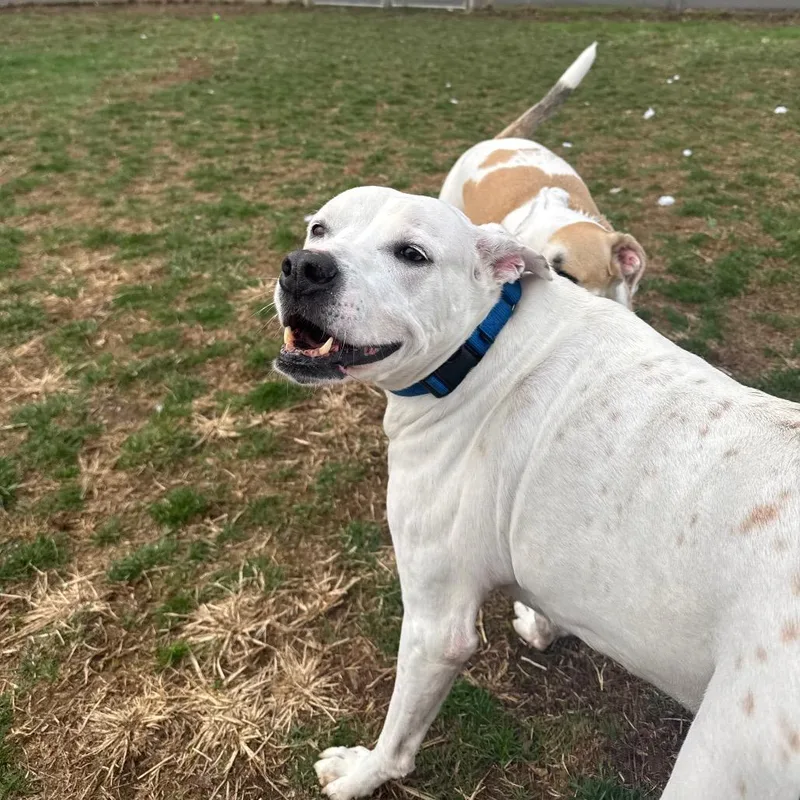 Lucky Lucio thumbnail 2