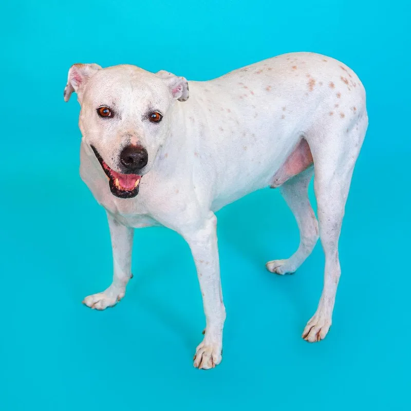 Lucky Lucio thumbnail 3