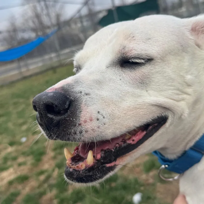 Lucky Lucio thumbnail 5